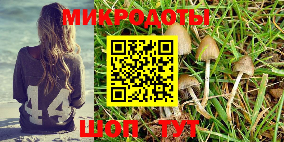 купить наркоту  Галлюциногенные грибы Psilocybe  Грозный  Вход с VPN  Галлюциногенные грибы мухоморы 