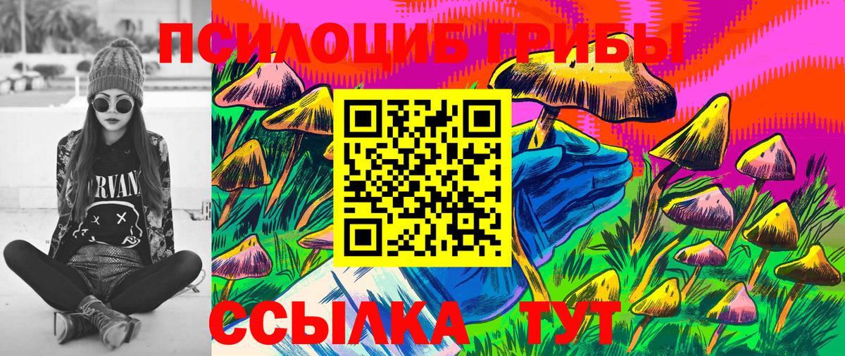 Галлюциногенные грибы прущие грибы Грозный